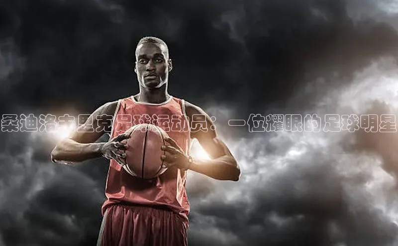 3377体育官网下载携程桑迪洛夫里克足球运动员：一位耀眼的足球明星