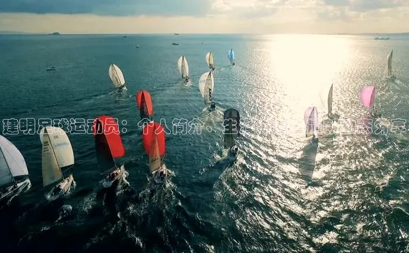 3377体育app登录入口百度学术建明足球运动员：个人简介、生涯成就及最新动态分享