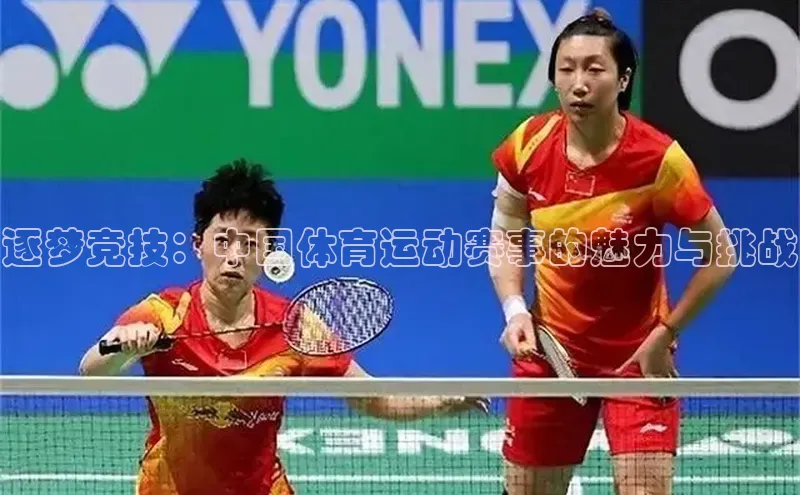 3377体育官网小度商城逐梦竞技：中国体育运动赛事的魅力与挑战