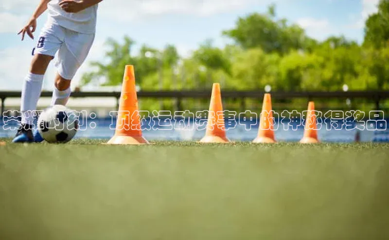 3377体育网站入口下载百度智能门户荣耀时刻：顶级运动赛事中的神秘得奖品