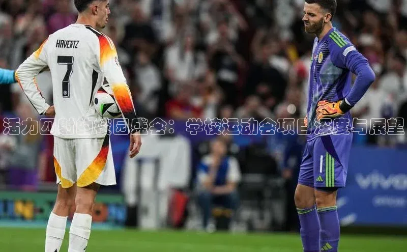 活力四射的校园盛会：学校运动会项目深度与展望