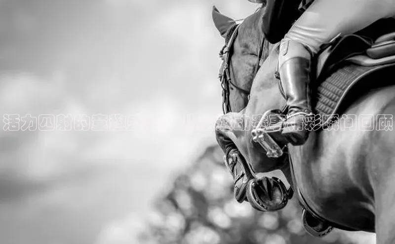 活力四射的童趣盛会：儿童运动赛事精彩瞬间回顾