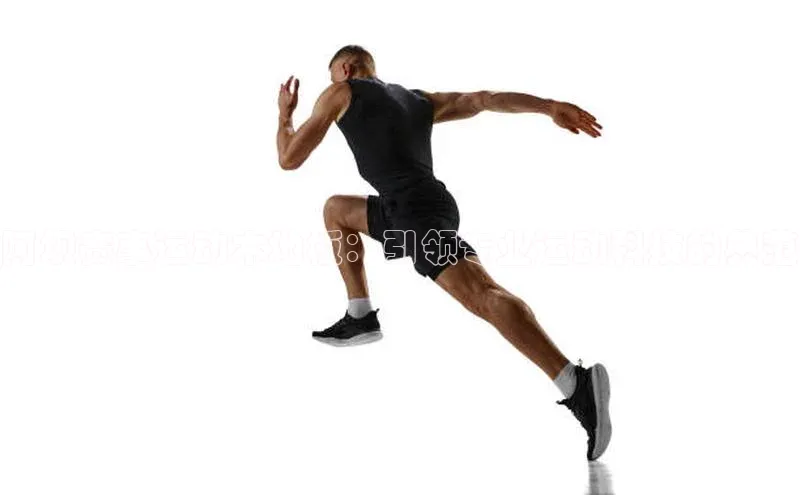 阿坝赛事运动木地板：引领专业运动科技的典范