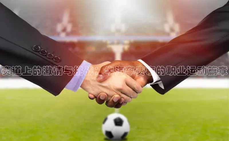 赛道上的激情与挑战：牛汽车赛事的职业运动篇章