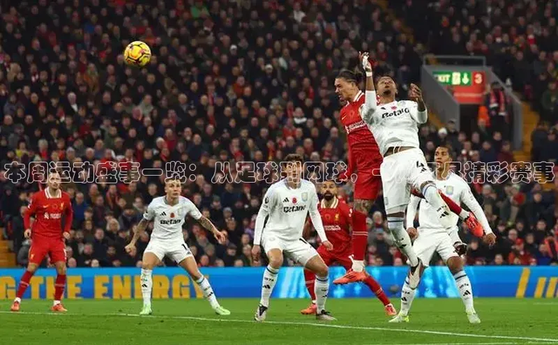 本周运动盛事一览：从足球到网球，一网打尽精彩赛事