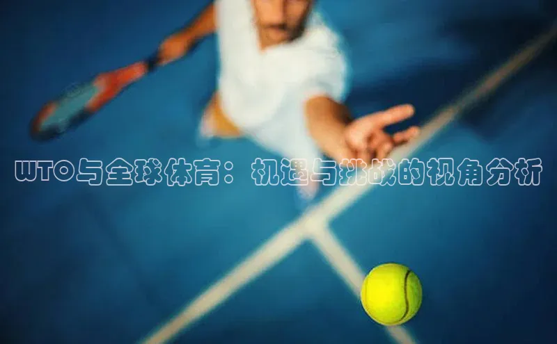 WTO与全球体育：机遇与挑战的视角分析