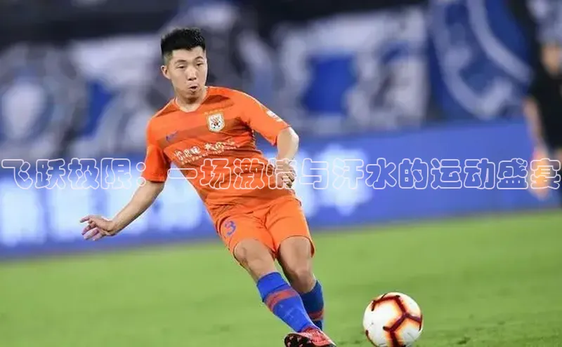 飞跃极限：一场激情与汗水的运动盛宴