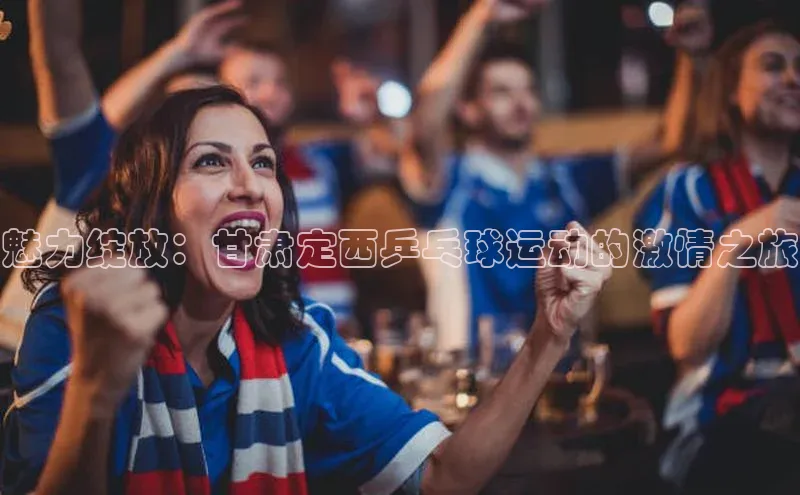 魅力绽放：甘肃定西乒乓球运动的激情之旅