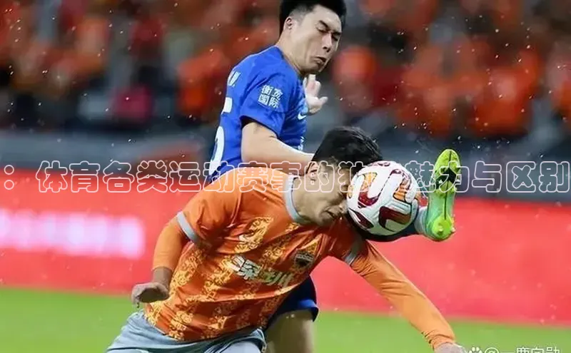 ：体育各类运动赛事的独特魅力与区别