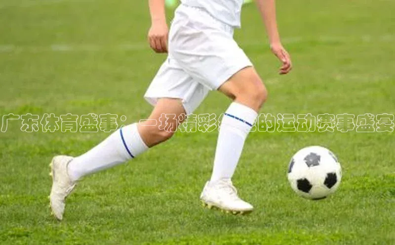 广东体育盛事：一场精彩绝伦的运动赛事盛宴