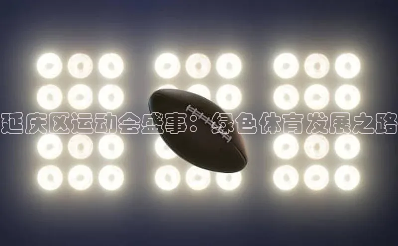 延庆区运动会盛事：绿色体育发展之路