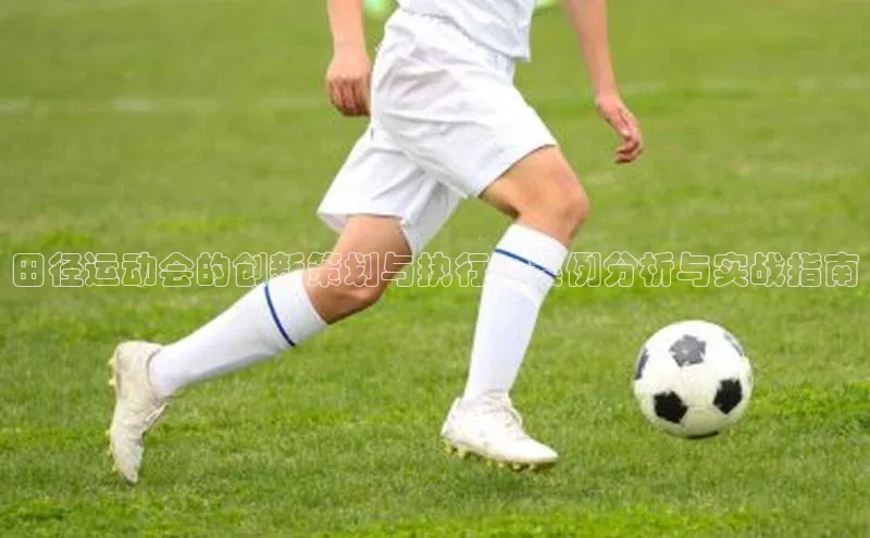 田径运动会的创新策划与执行：案例分析与实战指南