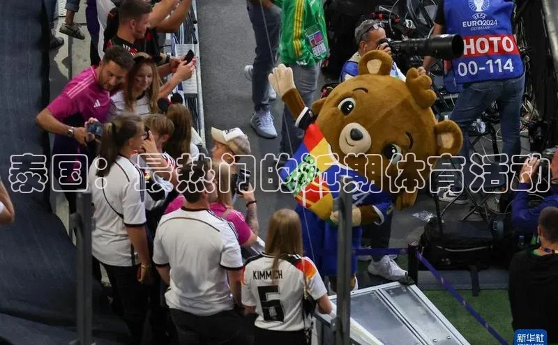 3377体育app官方网站