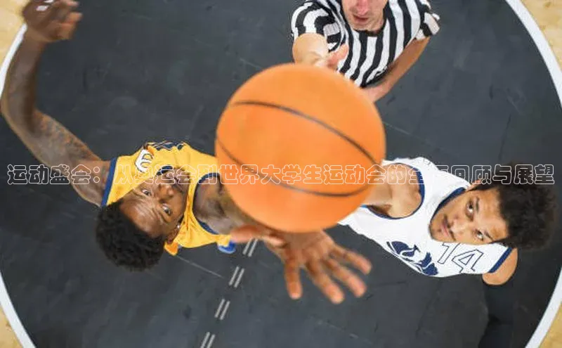 3377体育官网下载