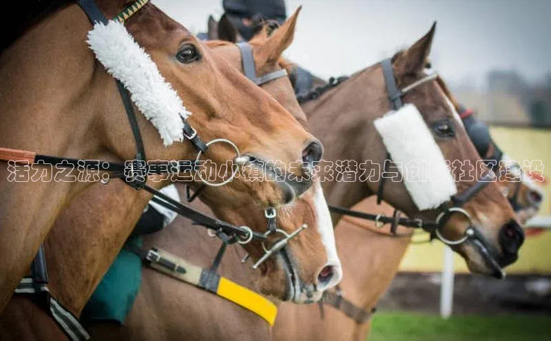 活力之源：赛事运动小镇的未来潜力与创新社区建设